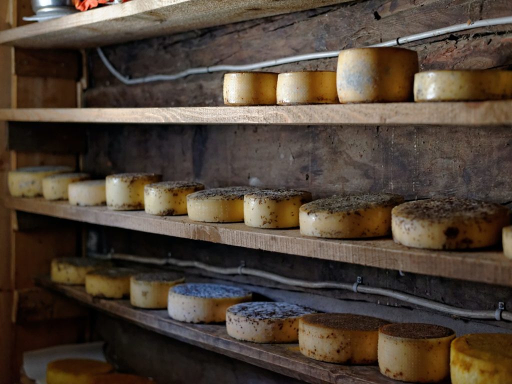 Fermentované sýry jsou zdrojem vápníku
